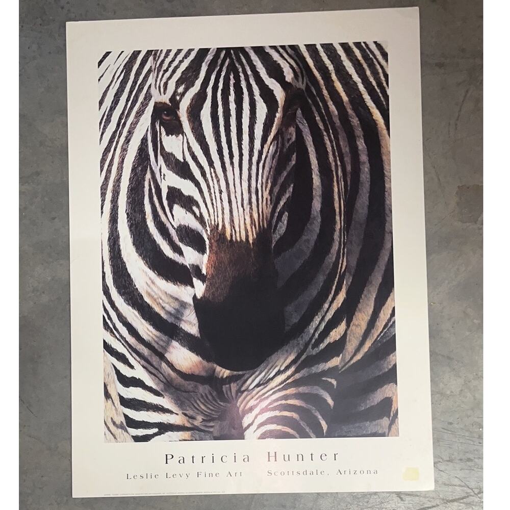 Patricia Hunter "Closer" Zebra Art Poster Leslie Levy Fine Art 33.5 x 25 Vintage